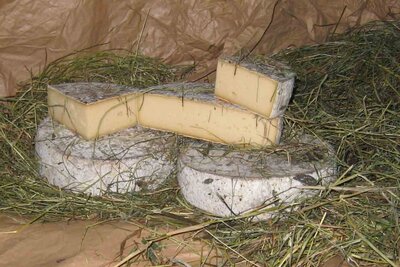 Tomme au foin bio