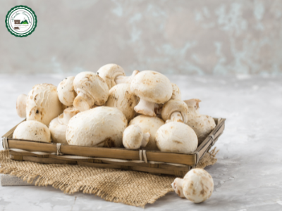 Champignon paris