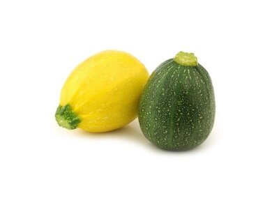 Courgette ronde jaune ou verte