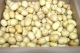 Pomme de terre grenailles variété - image 2