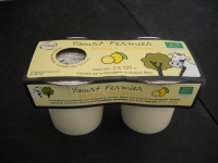 Yaourt citron x 2