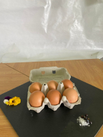 Oeufs fermiers plein air x6