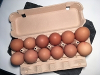 Oeufs fermiers volière x12