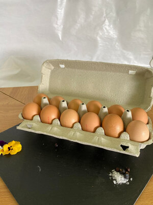 Oeufs fermiers plein air x12