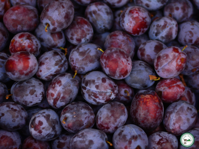 Prune (ardèche)