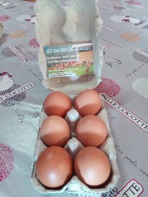Oeufs extra frais de plein air boite de 06