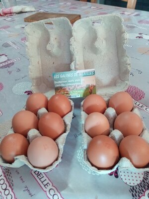 Oeufs extra frais de plein air par 12