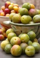 Prunes vertes, jumièges