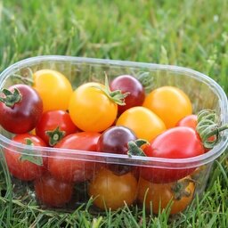 Tomates cerises