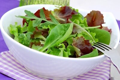 ** sachet salade lavée & coupée, prêt à manger