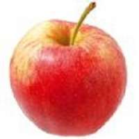 Pomme gala en sachet de 1kg.