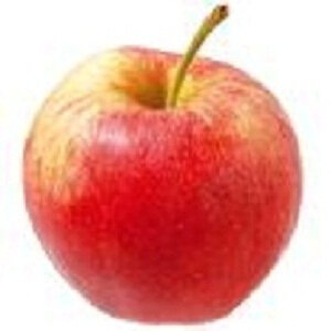 Pomme gala en sachet de 1kg.