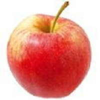 Pomme gala en sachet de 2kg