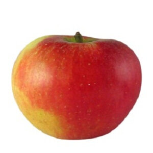 Pomme elstar en sachet de 1kg