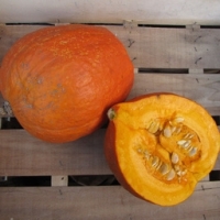 Potimarrons en morceaux