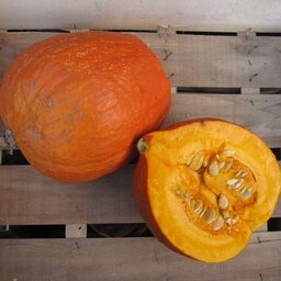 Potimarrons en morceaux