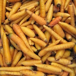 Carottes jaunes vrac