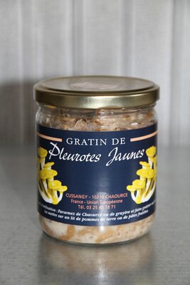 Gratin de pleurotes jaunes 350 g