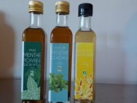 Sirop de menthe poivrée eucalyptus  25 cl