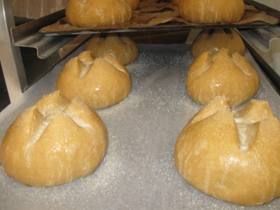 Brioche