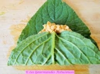 Feuilles de bourrache bio en bouquet