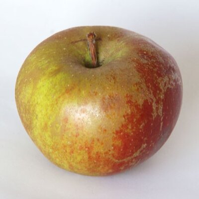 Pommes non traitées 1kg