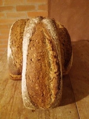 Pain multigraines (500 g) moulé