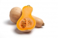 Courge butternut bio
