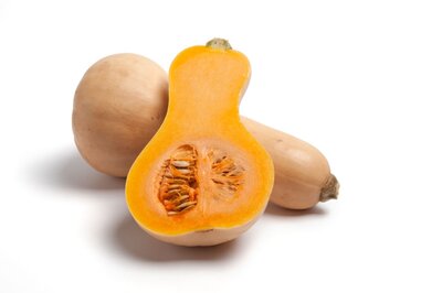 Courge butternut bio