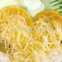 Courge spaghetti