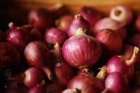 Oignon rouge