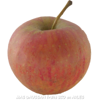 2 kg de pomme bio daligris