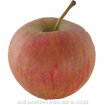 2 kg de pomme bio daligris