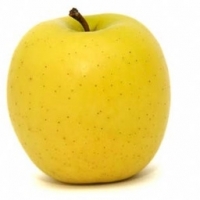 2kg pommes golden bio