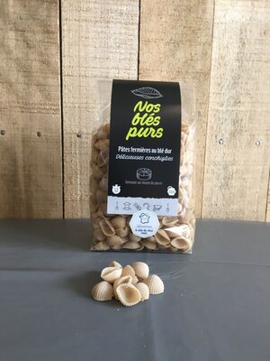 Conchiglies - pâtes fermières
