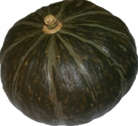 Potimarron-vert 1.2kg à 1.5kg