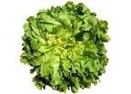 Salade scarole plate