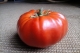 Tomate ancienne - image 3