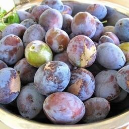 Chutney de prune à l'anglaise