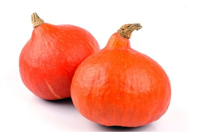 Potimarron 700g