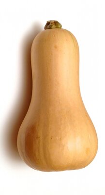Butternut