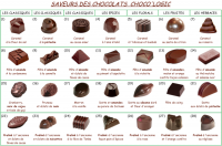 Ballotin découverte de 300g de bonbons de chocolats bio au 'lait' dairy free