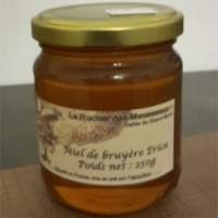 Miel de bruyère 'érica'