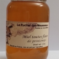 Miel toutes fleurs de printemps