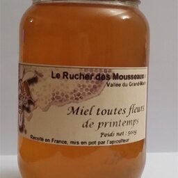 Miel toutes fleurs de printemps