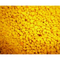 Pollen frais toutes fleurs et saule