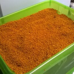 Pollen frais de ciste