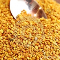 Pollen frais toutes fleurs de printemps