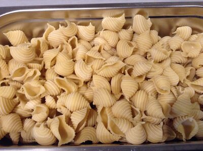 Conchiglie fraiches bio