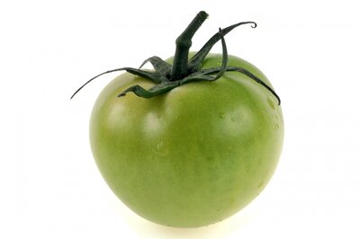 Tomates vertes à confiture